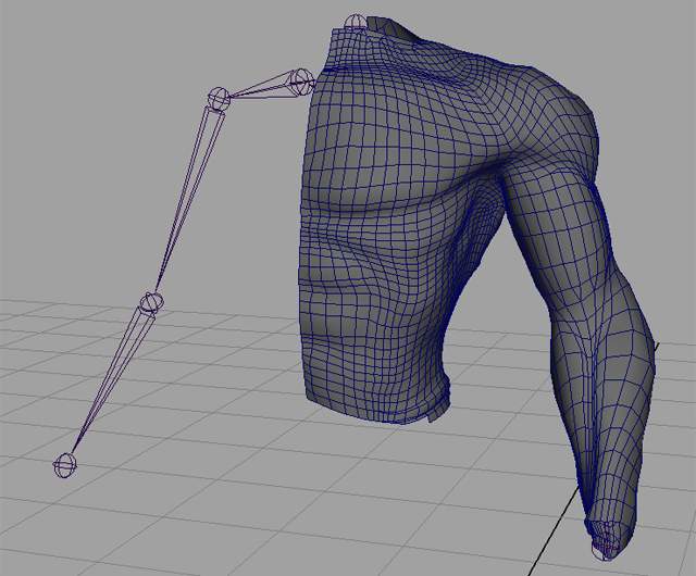 [ Basic concepts behind the muscle rigs ]